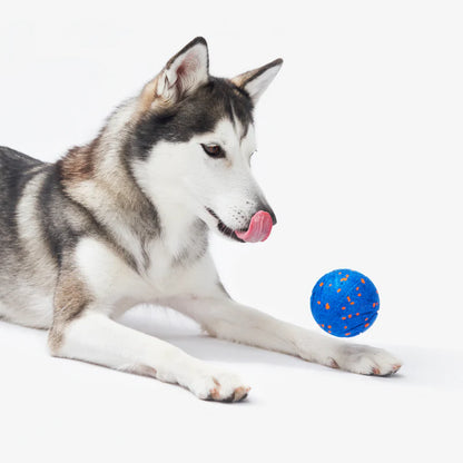 WIRBLEX Pro – Smart Ball für aktive Hunde